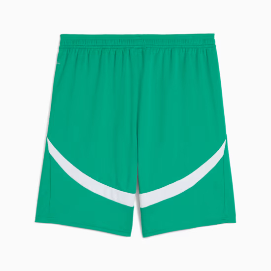 Shorts domicile homme Sénégal 2025 - Vert