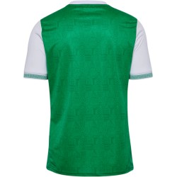 Maillot domicile homme ASSE 2025/26 Maillot domicile homme ASSE 2025/26