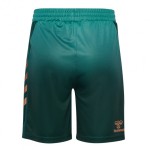 Short Troisième Werder Brême 2025/26 Homme