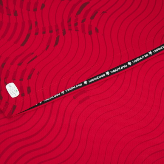 Maillot Coupe du Monde 2026 Domicile Albanie Homme