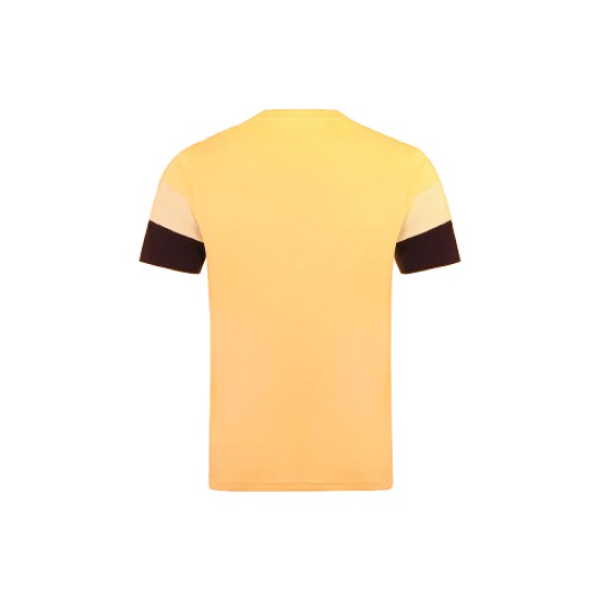 Homme AS Monaco 2025/26 Troisième Maillot d’Échauffement - Jaune