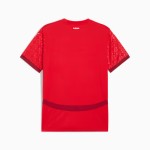 Femme Suisse 2025 Maillot Domicile Équipe Féminine