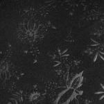 Maillot Spécial Noir Total Dynamo Dresden Enfant 2025/26