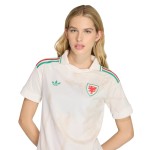 Maillot Coupe du Monde 2026 Extérieur Pays de Galles Homme Maillot Coupe du Monde 2026 Extérieur Pays de Galles Homme