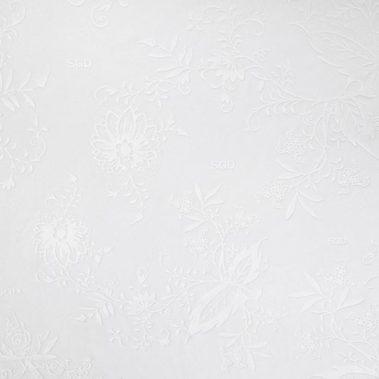 Homme Dynamo Dresden 2025/26 Maillot Spécial Whiteout