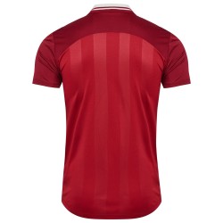 Maillot domicile équipe féminine Danemark 2025 Homme Maillot domicile équipe féminine Danemark 2025 Homme