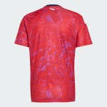Maillot domicile Coupe du Monde 2026 Costa Rica homme Maillot domicile Coupe du Monde 2026 Costa Rica homme