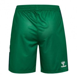 Short Homme Werder Brême 2025/26 Domicile - Vert Short Homme Werder Brême 2025/26 Domicile - Vert