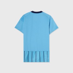 Maillot domicile homme Djurgårdens IF 2025 Maillot domicile homme Djurgårdens IF 2025