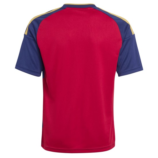 Enfant Real Salt Lake 2026 Maillot Domicile
