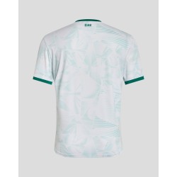 Maillots extérieur équipe féminine Irlande hommes 2025 Maillots extérieur équipe féminine Irlande hommes 2025