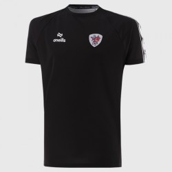 Maillot d’Échauffement Extérieur Homme Bristol City 2025/26