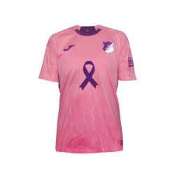 Maillot spécial cancer du sein TSG Hoffenheim 2025/26 pour homme
