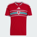 Maillot domicile Coupe du Monde 2026 Pays de Galles homme