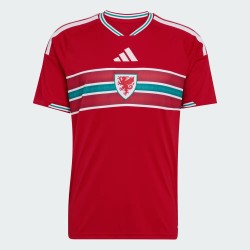 Maillot domicile Coupe du Monde 2026 Pays de Galles homme