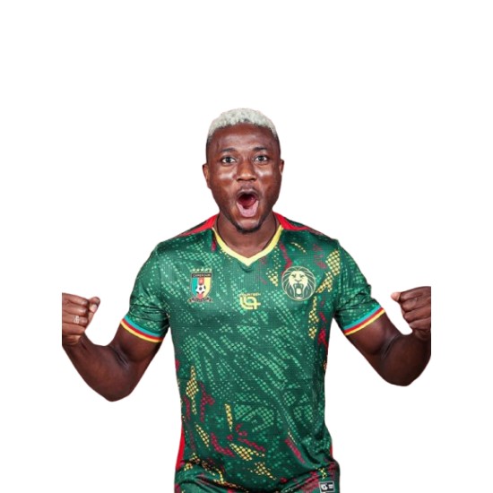 Maillot Third Cameroun 2025/26 Fourteen AFCON pour homme Maillot Third Cameroun 2025/26 Fourteen AFCON pour homme