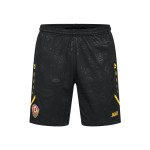 Short domicile Dynamo Dresden 2025/26 homme Short domicile Dynamo Dresden 2025/26 homme