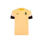 Homme AS Monaco 2025/26 Troisième Maillot d’Échauffement - Jaune