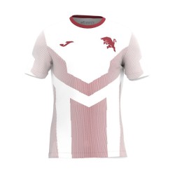 Homme Torino 2025/26 Troisième Maillot d’Échauffement