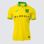 Maillot Domicile Enfant Norwich City 2025/26